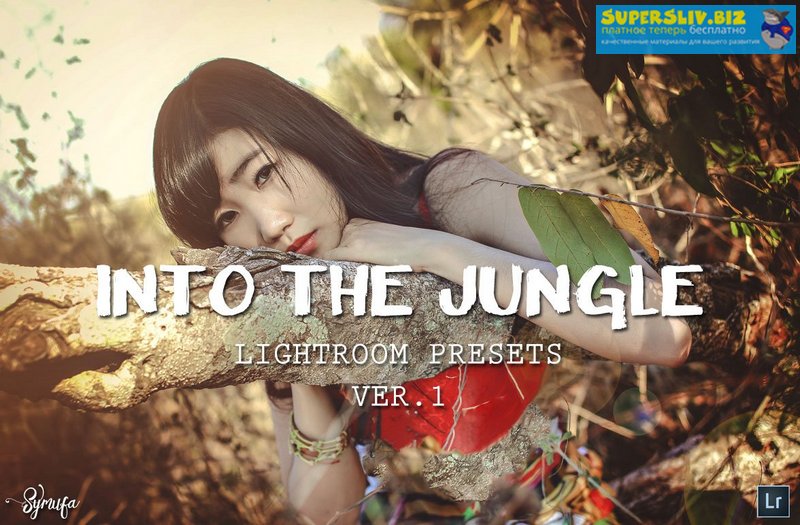 [Creativemarket] Into The Jungle Lightroom Presets_0.jpg
